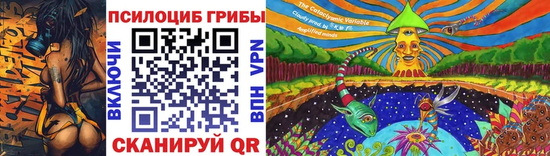 Купить закладки  Шиханы  Псилоцибиновые грибы Magic Shrooms 